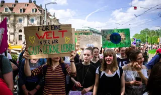 Organizações pedem à UE legislação ambiental urgente