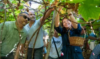 Célia Pessegueiro alerta para abandono da vinha