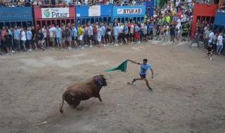 Tres toros de primer nivel ponen el broche taurino a las fiestas de l’Alcora