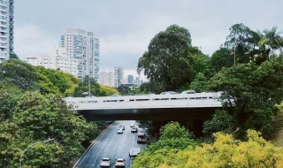 «Nunca pensei que na autoestrada de informação a ignorância fosse tão grande»: Pêpê Rapazote