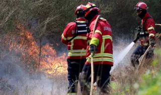 Calor acima dos 40 graus faz subir perigo de incêndio em Portugal: há novas proibições