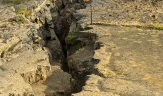 Sismos. Cientistas criam baratas ciborgue para salvar vidas