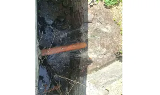Esgoto contamina afluente da Ribeira de Santo António