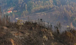 Até final de agosto, área ardida em Portugal cai 74% face ao ano passado