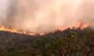 Incêndio florestal destrói cerca de 8.700 hectares no Monte Quénia