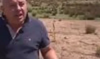 José Apolónio diz ter 1500 euros de prejuízo por cada vitelo morto