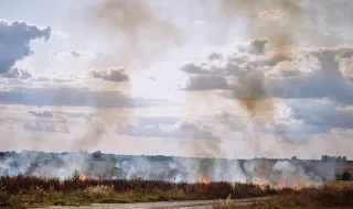 Ateou fogo à floresta com um isqueiro e acabou detido pela PJ