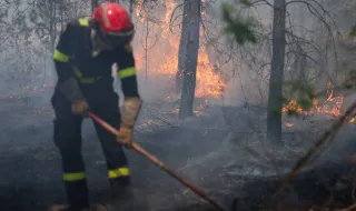 Incêndios rurais de Vouzela e Valpaços oficialmente reconhecidos como catástrofe natural