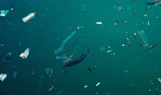 Lixo de pesca dos EUA e Canadá atravessa o Atlântico e chega à costa dos Açores