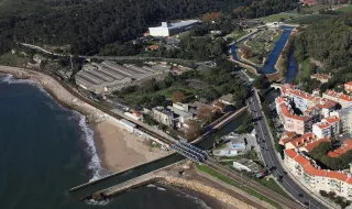 Limpeza de vegetação não infringe leis laborais, diz a ACT