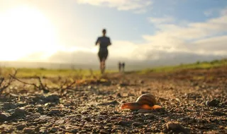 Paços dos Negros conquista terceiro lugar no Trail de Santarém