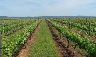 ALENTEJO 2030 LANÇA CONCURSO DE CINCO MILHÕES PARA INVESTIGAÇÃO NO LITORAL