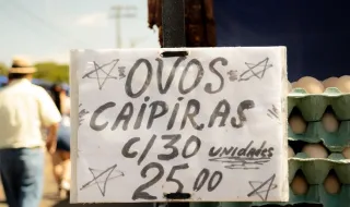 Ai a galinha dos ovos de ouro