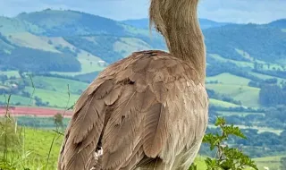 BE não poupa a Câmara de Santa Cruz pelo que não fez em matéria de habitação