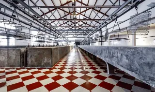 Museu de Portimão expõe trabalhos de 75 crianças em «MAR – Criaturas Sonoras»