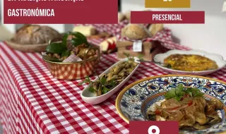 REGIÃO: Vagos promove formação sobre gastronomia do mar e da ria