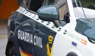 Interceptan más de 1.200 kilos de cocaína ocultos en un cargamento de cocos en Sevilla