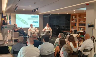 Lina Pereira acusa Governo de não assumir o ferry como prioridade e promete manter pressão