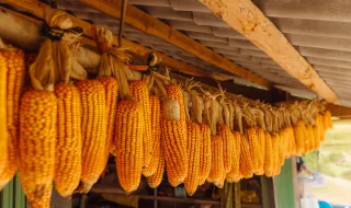 MAQUINARIA AGRÍCOLA VOLTA A ESTAR NO CENTRO DOS ALERTAS PARA INCÊNDIOS RURAIS EM MIRANDELA