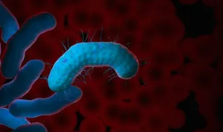 Valongo deteta dois focos de legionella em instalações desportivas e escolares