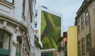 Porto Urban Greening Bienal’26: ‘Cultivando Comunidades’ em Serralves