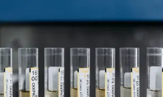 Precisamos de teste de octanas a condutores.