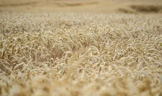Coruche coloca ciência e tecnologia ao serviço do futuro da agricultura