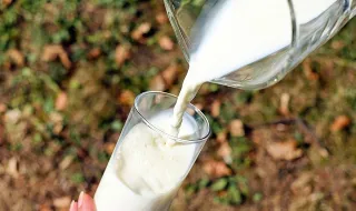 Descobrem benefício do leite materno contra resistência a antibióticos