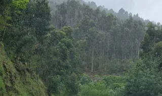 Estrada das Ginjas: chegou o momento de corrigir um Erro Histórico.