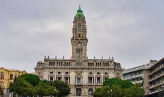 Câmara do Porto vai abater 19 árvores nos Aliados e renovar o "restante arvoredo"