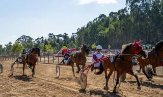 Hipódromo de Carvalho recebe centenas de aficionados na 36.ª corrida de cavalos