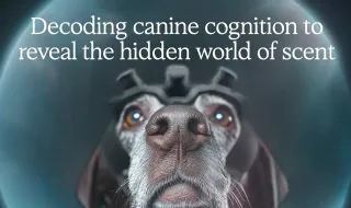 Dognosis: usa cães e AI para detetar cancro