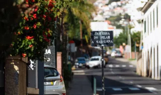 Ordem dos Psicólogos na Madeira organiza tertúlia sobre desafios da profissão