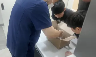 Três crianças juntaram 15 euros para salvar um rato. O veterinário surpreendeu-os