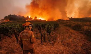 Protecção Civil alerta para previsão meteorológica favorável a incêndios rurais