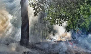 Dois fogos em Proença-a-Nova mobilizam mais de 800 bombeiros