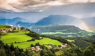 Árvores de Leiria vão ser apadrinhadas