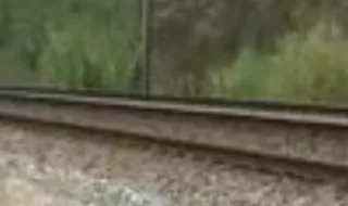 Um ferido grave em atropelamento ferroviário em Gaia que corta Linha do Norte
