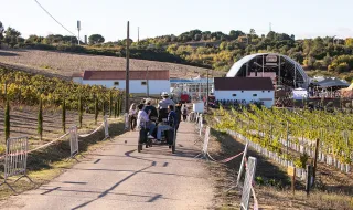 Do vinho ao palco. UB40 e chefs de renome na Festa das Vindimas na Quinta do Sampayo