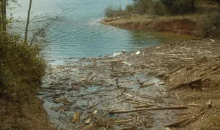 Enxurrada arrasta detritos dos incêndios e “invade” casas em Santa Leocádia