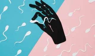 Entenda como um doador de esperma holandês chegou a ser pai de pelo menos 199 crianças na Europa