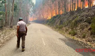 Incêndios em Vouzela e Valpaços reconhecidos como catástrofe natural
