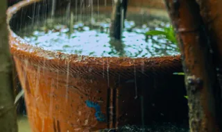 Vai chover ‘a potes’: depressão localizada em Portugal vai trazer chuva intensa e vento forte sobretudo a esta região