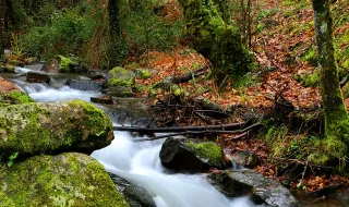 Lousã avança com compra de terreno para futuro espaço multiusos
