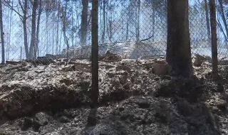 Tribunal absolve cinco arguidos no caso dos 92 animais mortos no incêndio de Santo Tirso