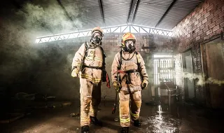 120 voluntários vão combater espécies invasoras em Arganil