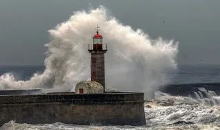 Projeto MOPPA para Monitorização de Bivalves