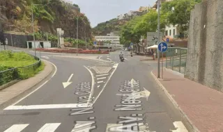 Bode resgatado de ribeira na Avenida da Nova Cidade