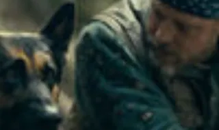 Este é o ano das estrelas caninas no cinema! Conheça o Uber, o cão que brilha ao lado de Brad Pitt em 'Heróis Inseparáveis