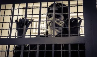 "Alcatraz dos Jacarés": migrantes foram confinados em minicelas do tamanho de cabines telefónicas na Florida